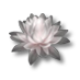 Soubor:Lotosový květ.png