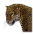 Mexický jaguár.png