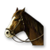 Soubor:Freemanův kůň.png
