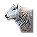 Soubor:Pastevcova ovečka.png