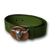 Soubor:Zelený opasek s přezkou bizona.png