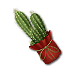 Soubor:Vánoční kaktus.png