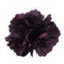 Soubor:Fialový květ.png