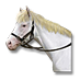 Soubor:Kůň osamělého kovboje.png