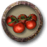 Sbírat rajčata
