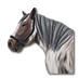 Soubor:Karbaníkův belgický tažný kůň.png