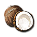 Soubor:Kokosový ořech.png