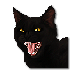 Soubor:Spirituální černá kočka.png