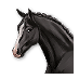 Soubor:Kůň hraběte de Rochambeau.png