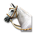 Soubor:Andaluský kůň.png