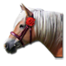 Soubor:Valentýnský kůň.png