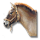 Tanečníkův kůň