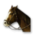 Freemanův kůň