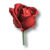 Růže.png