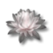 Lotosový květ.png