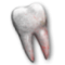 Vyražený zub