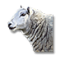 Pastýřčina ovečka.png