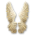 Amorova křídla
